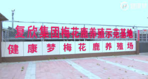 复欣科技（北京）有限公司