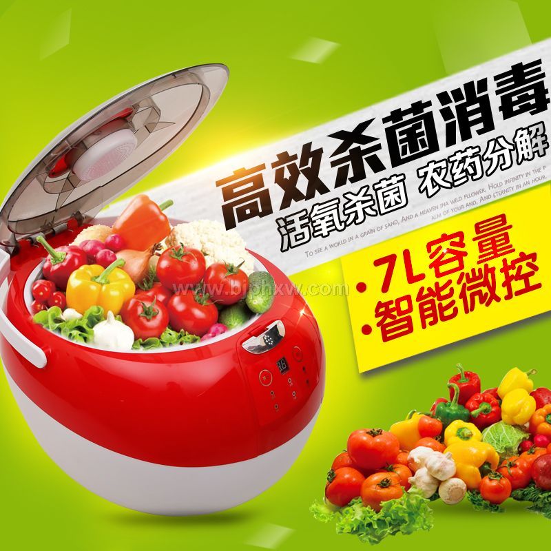 锐智RZ-06A-1果蔬宝净化仪