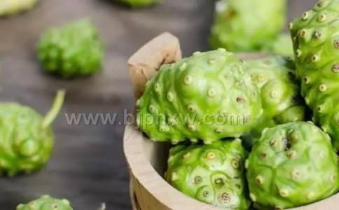 萨摩亚进口供应纯正野生诺丽果酵素原液