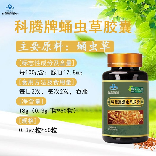 科腾牌蛹虫草胶囊