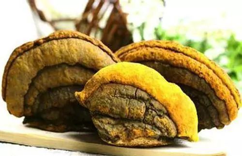 通化汉方生物医药有限公司