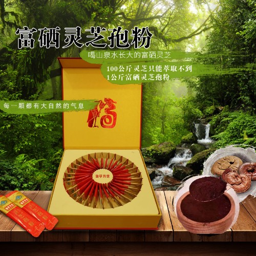 仙草传世富硒灵芝孢子粉代理招商加盟