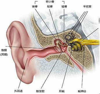 医疗机械助听器