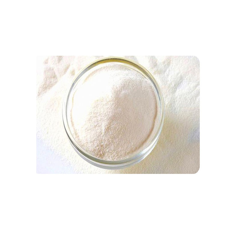 驼乳蛋白质粉