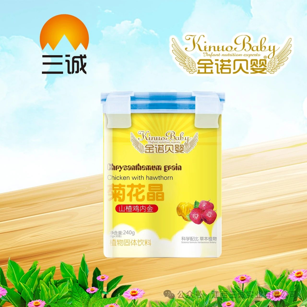 菊花晶 山楂鸡内金