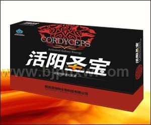 活阳圣宝