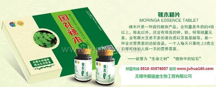 铁皮石斛，舞茸，辣木，盐藻