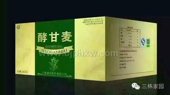 酵甘麦