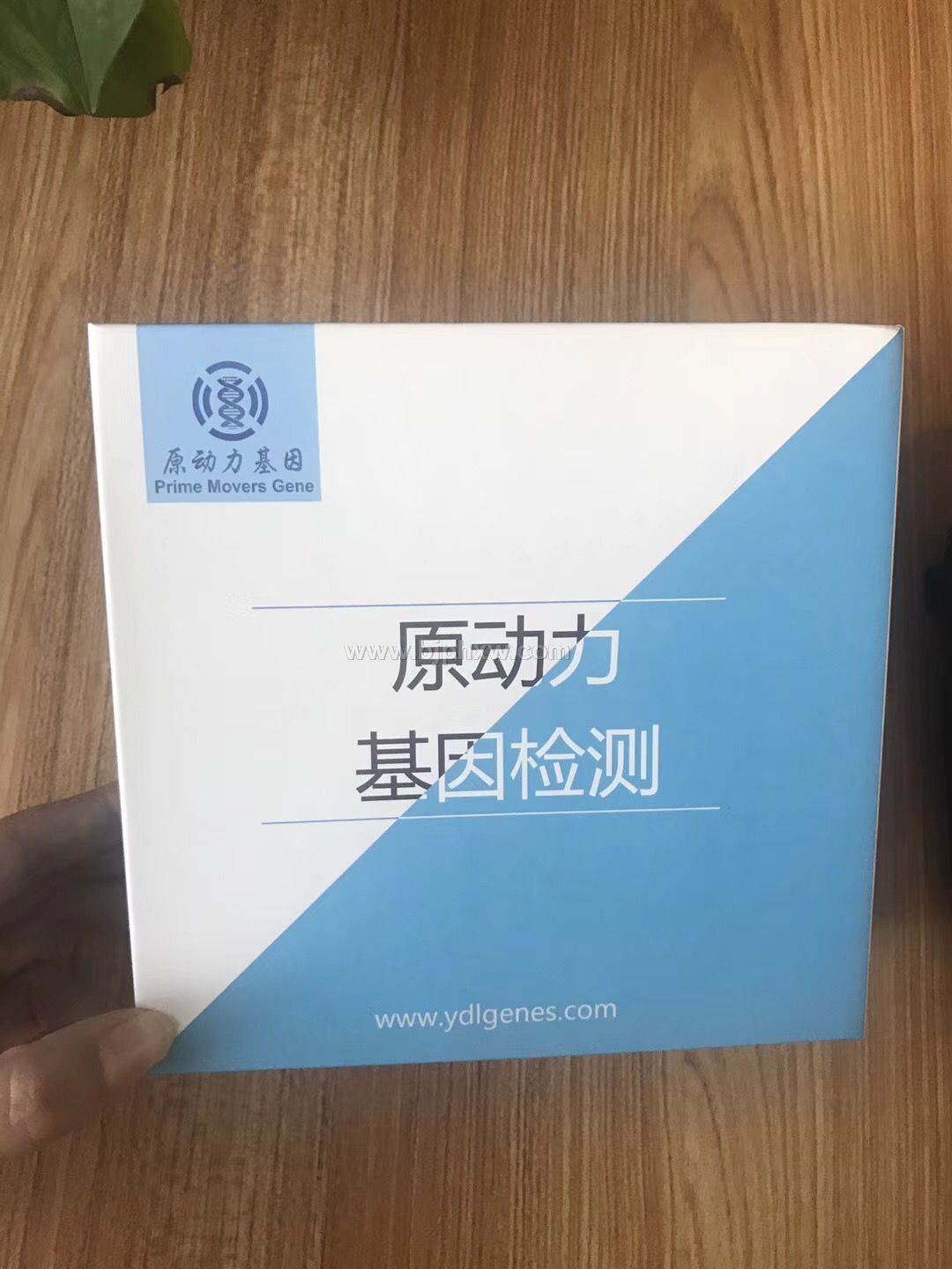 基因检测 寻求会销合作伙伴