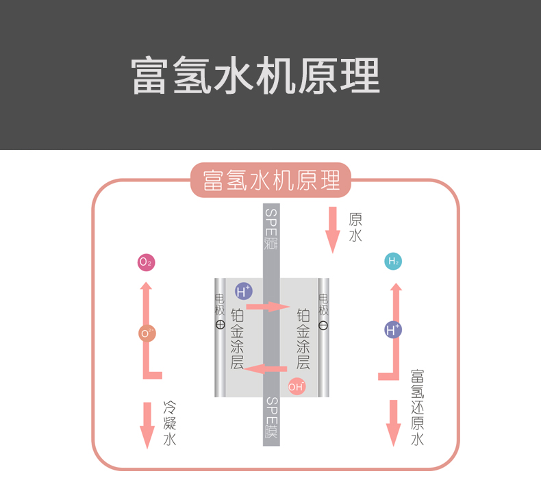 SPE富氢水机代加工厂家SPE吸氢机OEM厂家