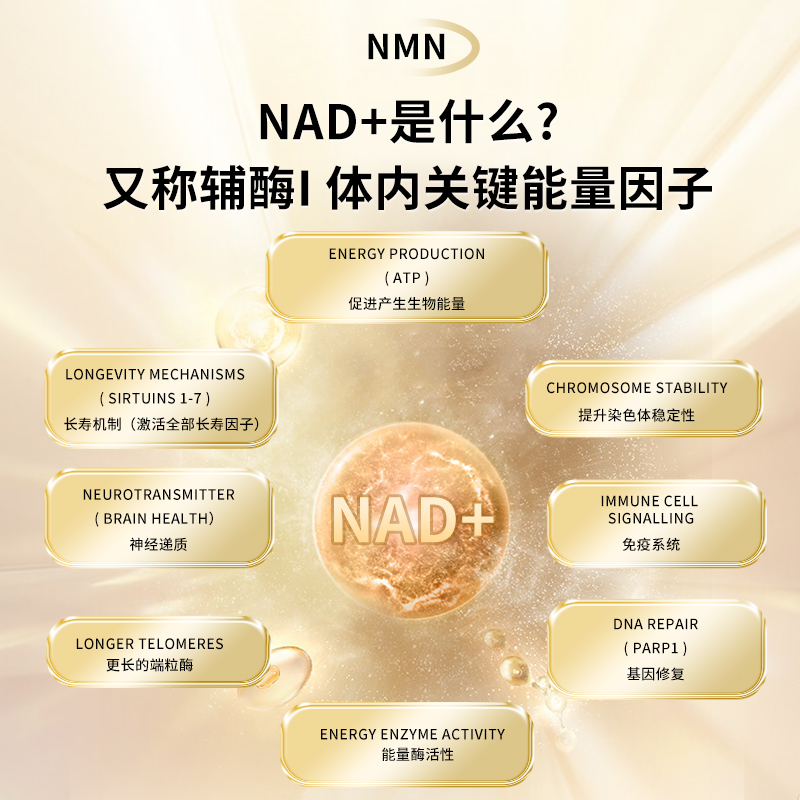 【美国原装进口保健品】NMN12000&辅酶Q10复合胶囊