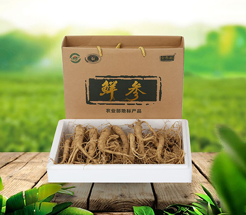 鲜西洋参