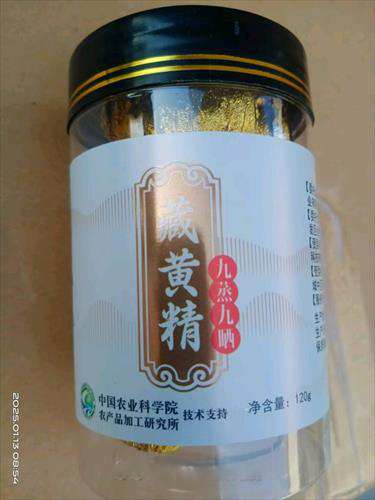 藏黄精