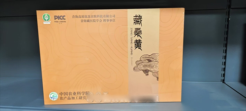 藏桑黄