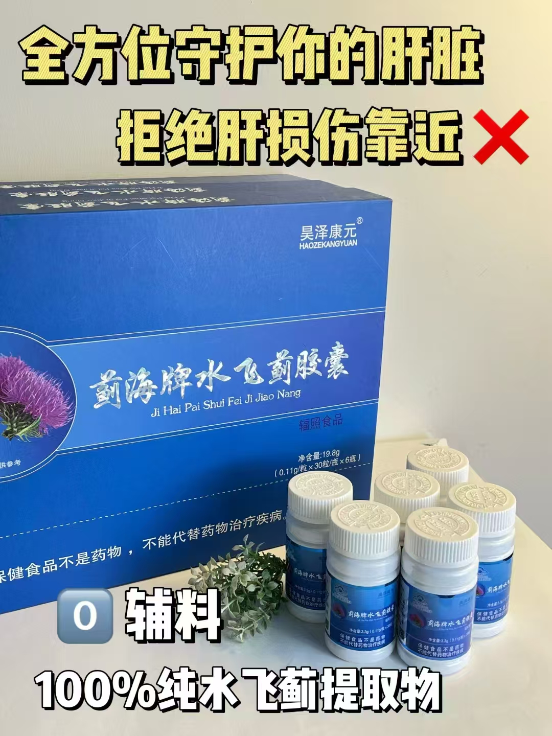 蓟海牌水飞蓟胶囊