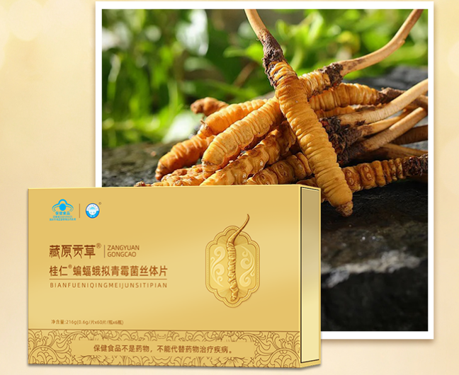 冬虫夏草菌丝体片礼盒装