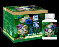 �� ݮ �� �� �ҡ�����������Ʒ����